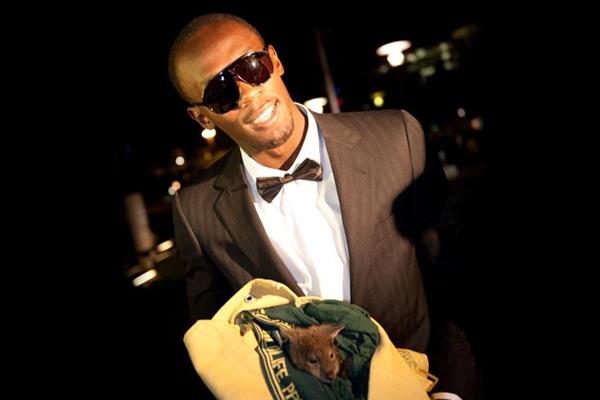 Usain Bolt in Australia holding baby kangaroo ()