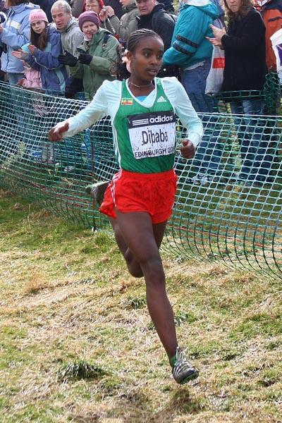 A familiar looking bib: Genzebe Dibaba - junior women's champion - Edinburgh 2008 (Getty Images)