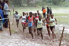 Pauline Korikwiang (red vested, far left of the front trio) running the 8km XC in Machakos, Kenya (Elias Makori)