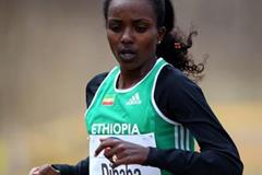 Tirunesh Dibaba in action at the IAAF World Cross Country Championships in Bydgoszcz (Getty Images)