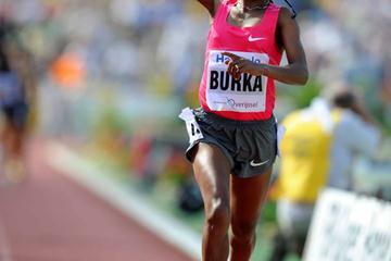 Gelete Burka en route to her 3:58.79 PB in Hengelo (Jiro Mochizuki (Agence Shot))