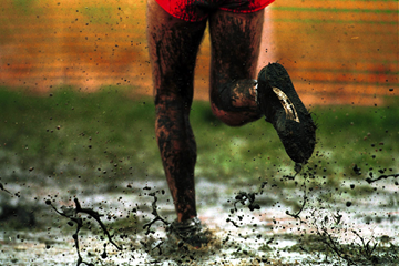 Mud sweat and tears ()