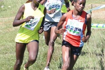 Gladys Chemweno (0234) followed by Gladys Chepkemboi (left) and others negotiate a bend during the women’s 8km race of the KCB/Athletics Kenya Cross Country held at Eldoret Polytechnic. Chemweno won the race with Chepkemboi second. (Jared Nyataya (Daily Nation))