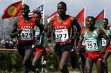 Sileshi Sihine of Ethiopia (357) running the 2003 World Cross long race in Lausanne (Getty Images)