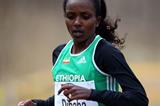 Tirunesh Dibaba in action at the IAAF World Cross Country Championships in Bydgoszcz (Getty Images)