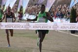 Imane Merga kicks off his Cross Country campaign with victory in Atapuerca (Alfambra Fundación ANOC)