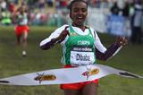 All smiles - Tirunesh Dibaba returns to the victory circle - Edinburgh 2008 (Getty Images)