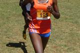 World Cross silver medallist Mercy Cherono (195) leads Purity Cherotich in the 6km junior women race during the 19th edition of the Discovery Cross country held in Eldoret, Kenya. Cherotich retained the title. (David Macharia)
